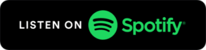 spotify  my favorite mistake 