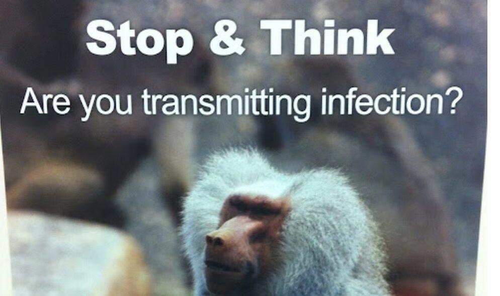 See Monkey, Monkey Do Not?